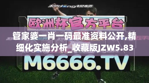 管家婆一肖一码最准资料公开,精细化实施分析_收藏版JZW5.83