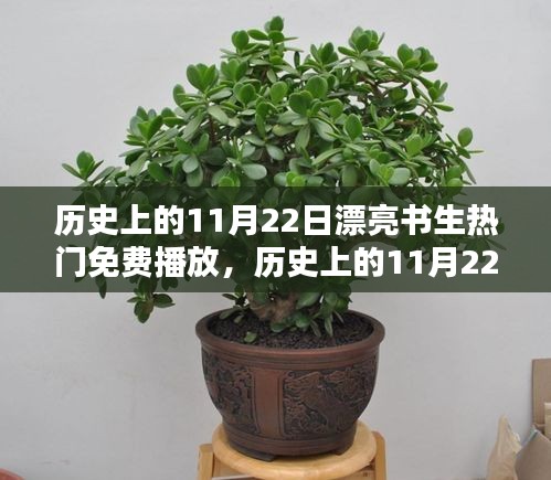 历史上的11月22日，漂亮书生热门免费播放时代开启