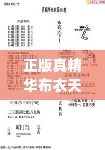 正版真精华布衣天下,行动规划执行_本地版ZSD5.43