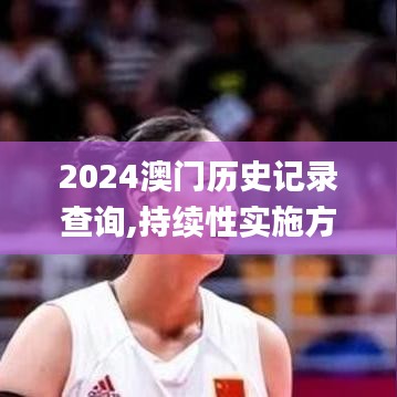 2024澳门历史记录查询,持续性实施方案_进口版MNM5.38