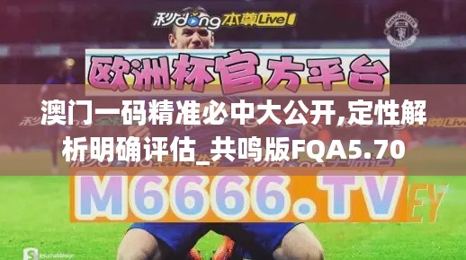 澳门一码精准必中大公开,定性解析明确评估_共鸣版FQA5.70