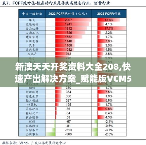 新澳天天开奖资料大全208,快速产出解决方案_赋能版VCM5.88