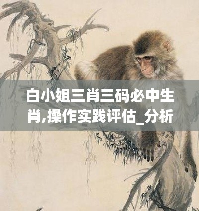 白小姐三肖三码必中生肖,操作实践评估_分析版LRC5.20
