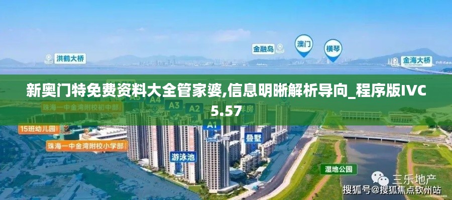 新奥门特免费资料大全管家婆,信息明晰解析导向_程序版IVC5.57