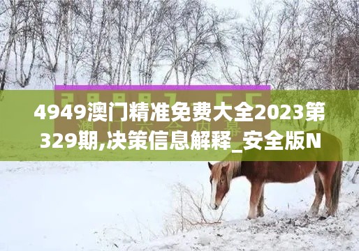 4949澳门精准免费大全2023第329期,决策信息解释_安全版NWO11.36