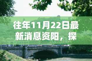 探秘资阳小巷深处的独特风味，时光深处的特色小店