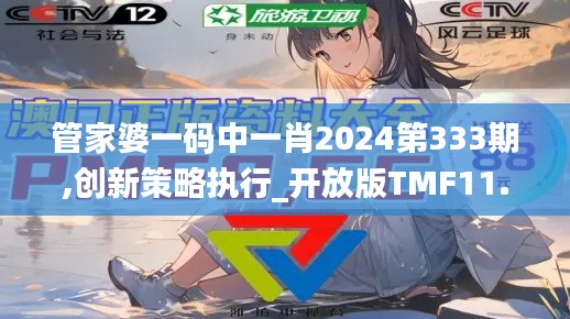 管家婆一码中一肖2024第333期,创新策略执行_开放版TMF11.78