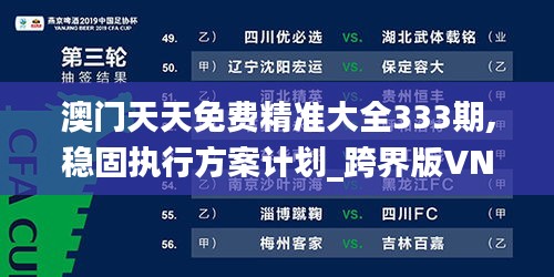 澳门天天免费精准大全333期,稳固执行方案计划_跨界版VNP11.10
