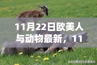 欧美人与动物最新产品深度评测与介绍，最新资讯一网打尽！