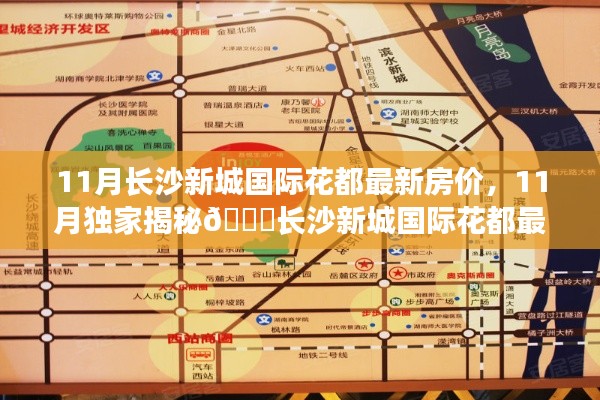 独家揭秘，长沙新城国际花都最新房价走势及动向分析（11月版）
