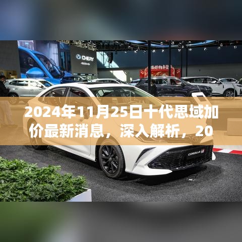 2024年11月25日十代思域加价最新消息深度解析与全面评测