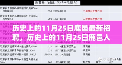 历史上的11月25日鹿邑招聘热点，人才招聘深度分析与观点探讨