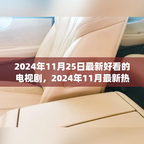 细节决定成败，2024年11月最新热播电视剧评测
