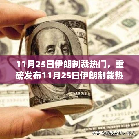 重磅发布,揭秘11月25日伊朗制裁背后的热门高科技产品,引领智能生活新变革!