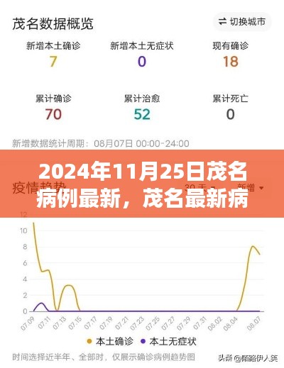茂名最新病例动态报告，2024年11月25日病例更新与报告