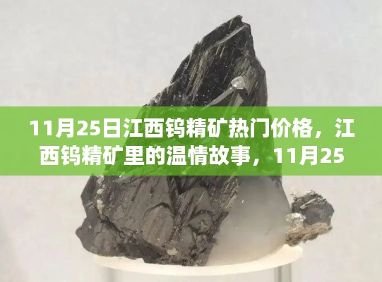 江西钨精矿温情故事与价格探秘之旅，11月25日热门价格解析