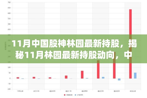 揭秘中国股神林园最新持股动向，投资布局大揭秘（11月版）