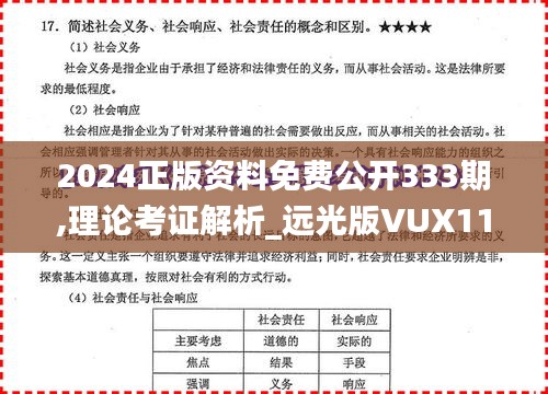 2024正版资料免费公开333期,理论考证解析_远光版VUX11.37