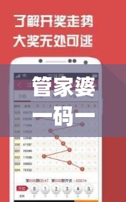 管家婆一码一肖100准333期,数据引导设计方法_迅捷版YML11.3