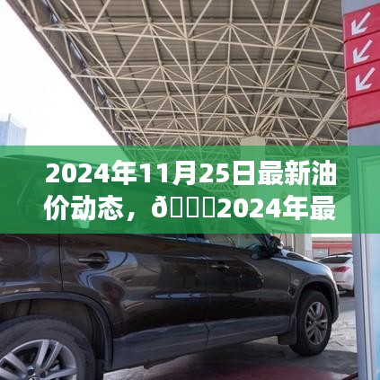 🌟2024年油价动态揭秘，最新油价走势与未来展望（11月25日更新）🌟