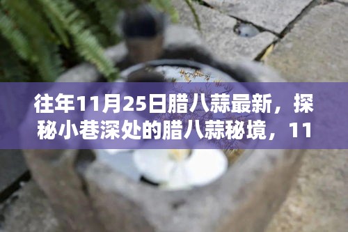 探秘11月25日小巷深处的腊八蒜秘境，独特风味体验