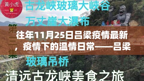 往年11月25日吕梁疫情最新动态，温情日常中的欢乐时光