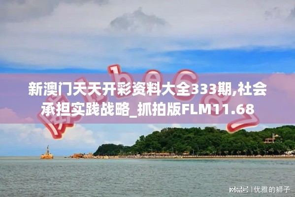新澳门天天开彩资料大全333期,社会承担实践战略_抓拍版FLM11.68