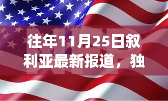 往年11月25日叙利亚最新报道，独家解析往年11月25日叙利亚局势最新报道，深度解读叙利亚内战进展与和平前景