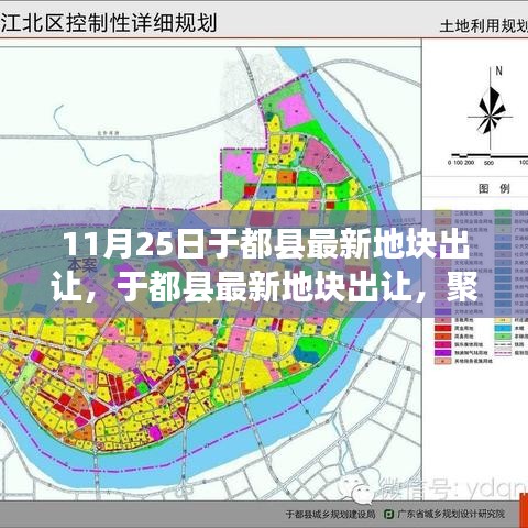 于都县最新地块出让解析，聚焦要点揭秘当日交易动态