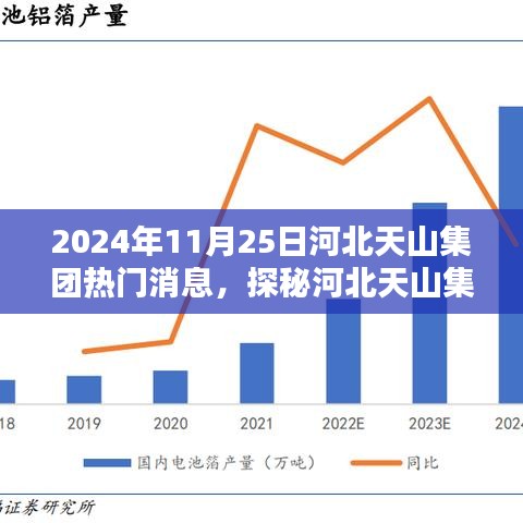 河北天山集团，揭秘特色小店，惊喜发现于2024年11月25日