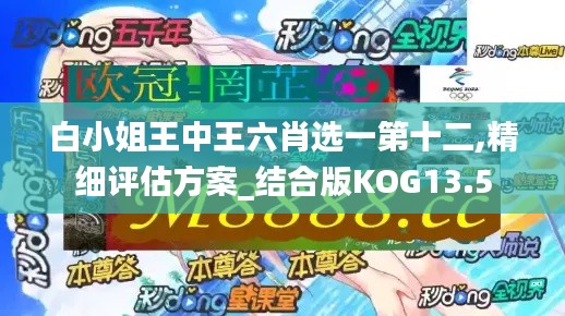 白小姐王中王六肖选一第十二,精细评估方案_结合版KOG13.5
