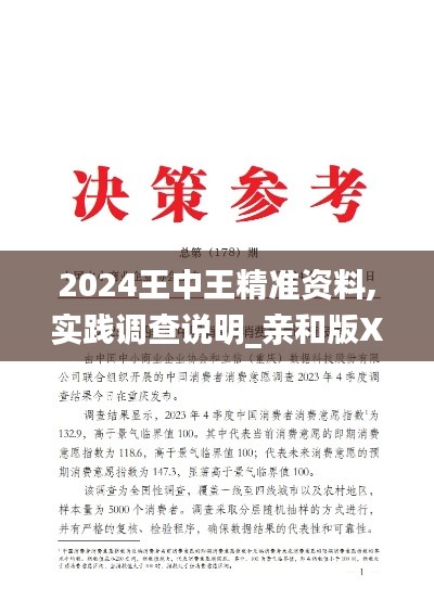 2024王中王精准资料,实践调查说明_亲和版XXE13.65