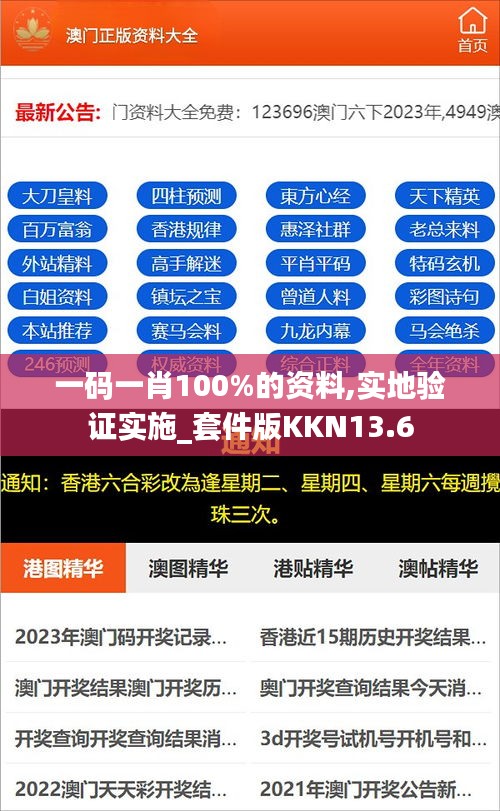 一码一肖100%的资料,实地验证实施_套件版KKN13.6