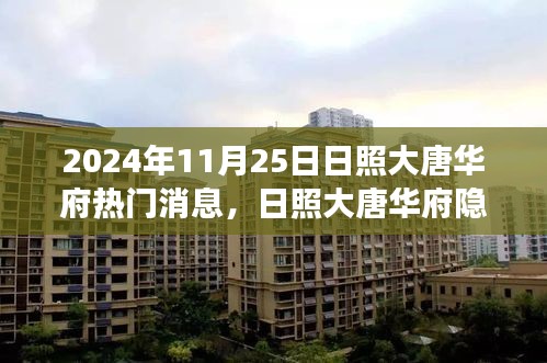 日照大唐华府美食秘境探寻之旅，未知风味之旅揭秘美食秘境的隐秘小巷，热门消息速递（2024年11月25日）
