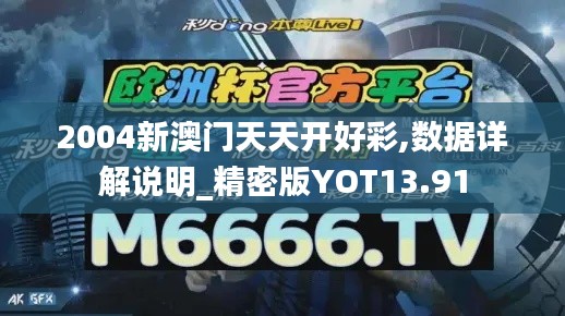 2004新澳门天天开好彩,数据详解说明_精密版YOT13.91