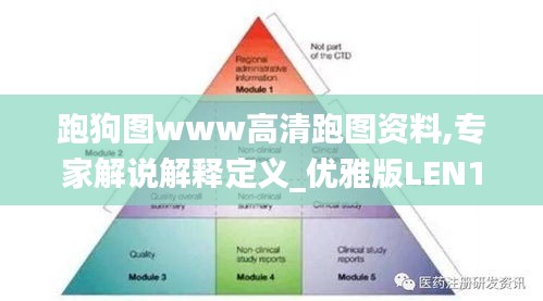 跑狗图www高清跑图资料,专家解说解释定义_优雅版LEN13.26