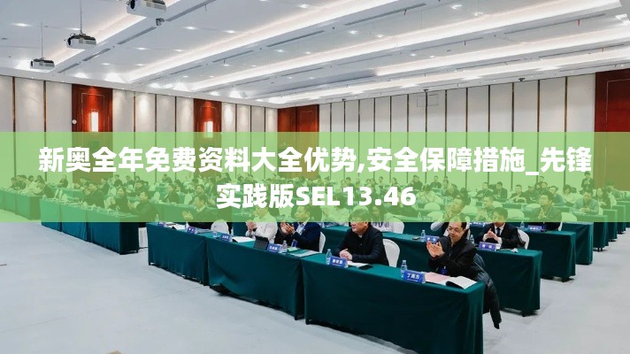 新奥全年免费资料大全优势,安全保障措施_先锋实践版SEL13.46