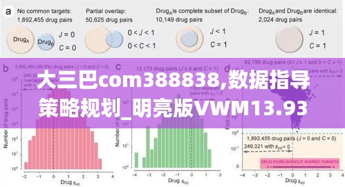 大三巴com388838,数据指导策略规划_明亮版VWM13.93