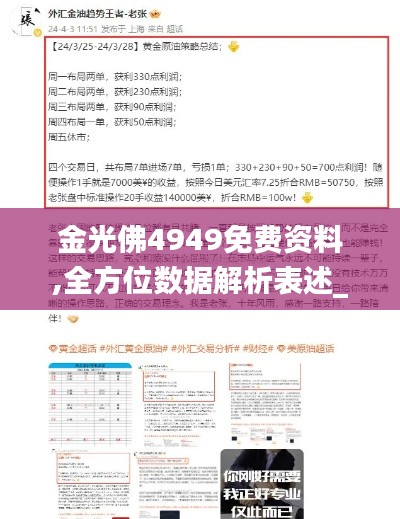 金光佛4949免费资料,全方位数据解析表述_高级版QCT13.97