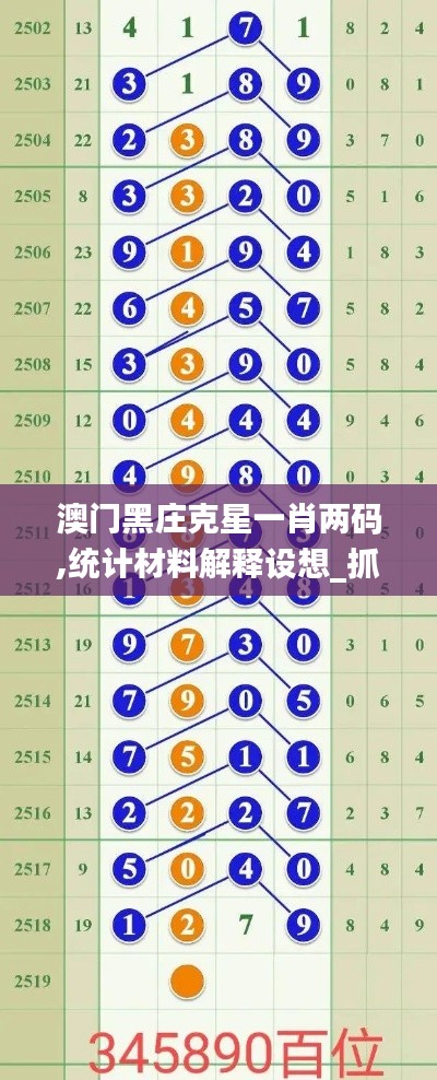 澳门黑庄克星一肖两码,统计材料解释设想_抓拍版XWC13.33