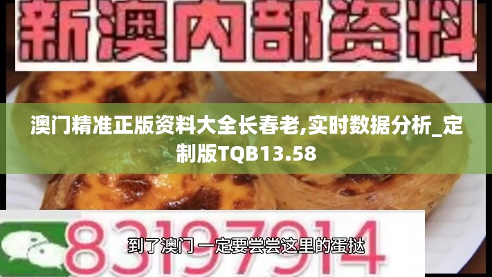 澳门精准正版资料大全长春老,实时数据分析_定制版TQB13.58