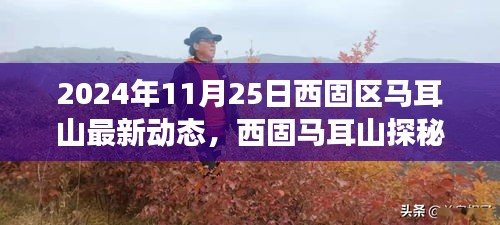 西固区马耳山最新动态揭秘，心灵之旅的探秘之旅（最新更新日期，2024年11月25日）