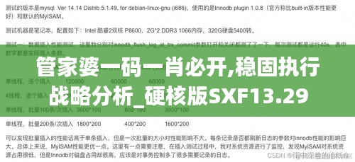 管家婆一码一肖必开,稳固执行战略分析_硬核版SXF13.29