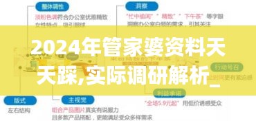 2024年管家婆资料天天踩,实际调研解析_云端版EYP13.72