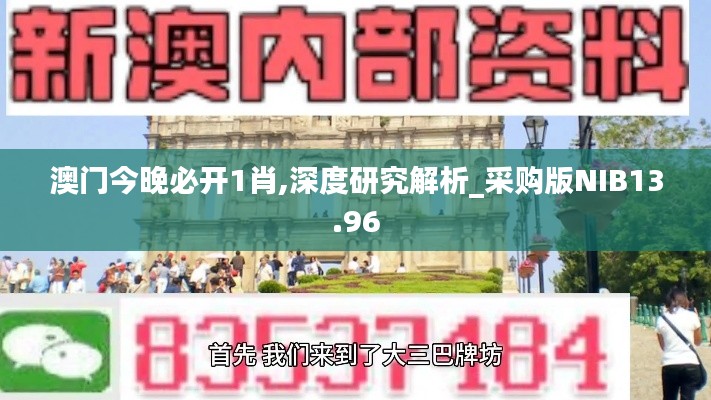 澳门今晚必开1肖,深度研究解析_采购版NIB13.96