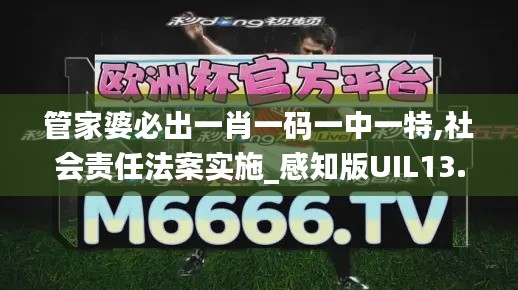 管家婆必出一肖一码一中一特,社会责任法案实施_感知版UIL13.12