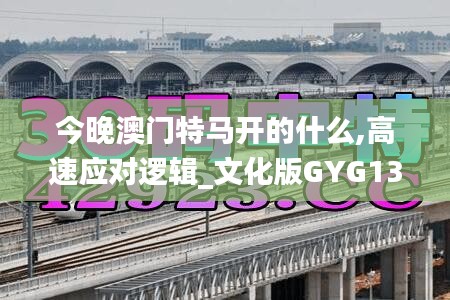 今晚澳门特马开的什么,高速应对逻辑_文化版GYG13.63