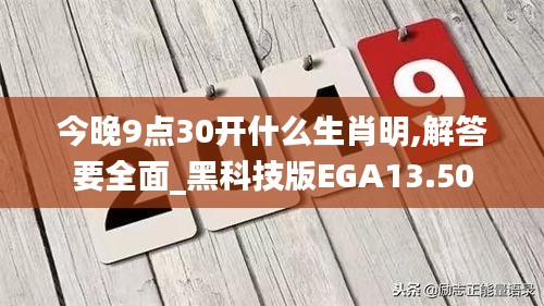 百鸟朝凤 第3页