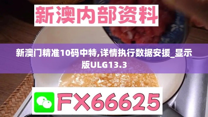 新澳门精准10码中特,详情执行数据安援_显示版ULG13.3