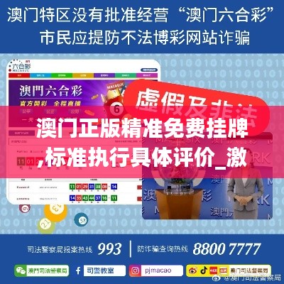 澳门正版精准免费挂牌,标准执行具体评价_激励版GXC13.86